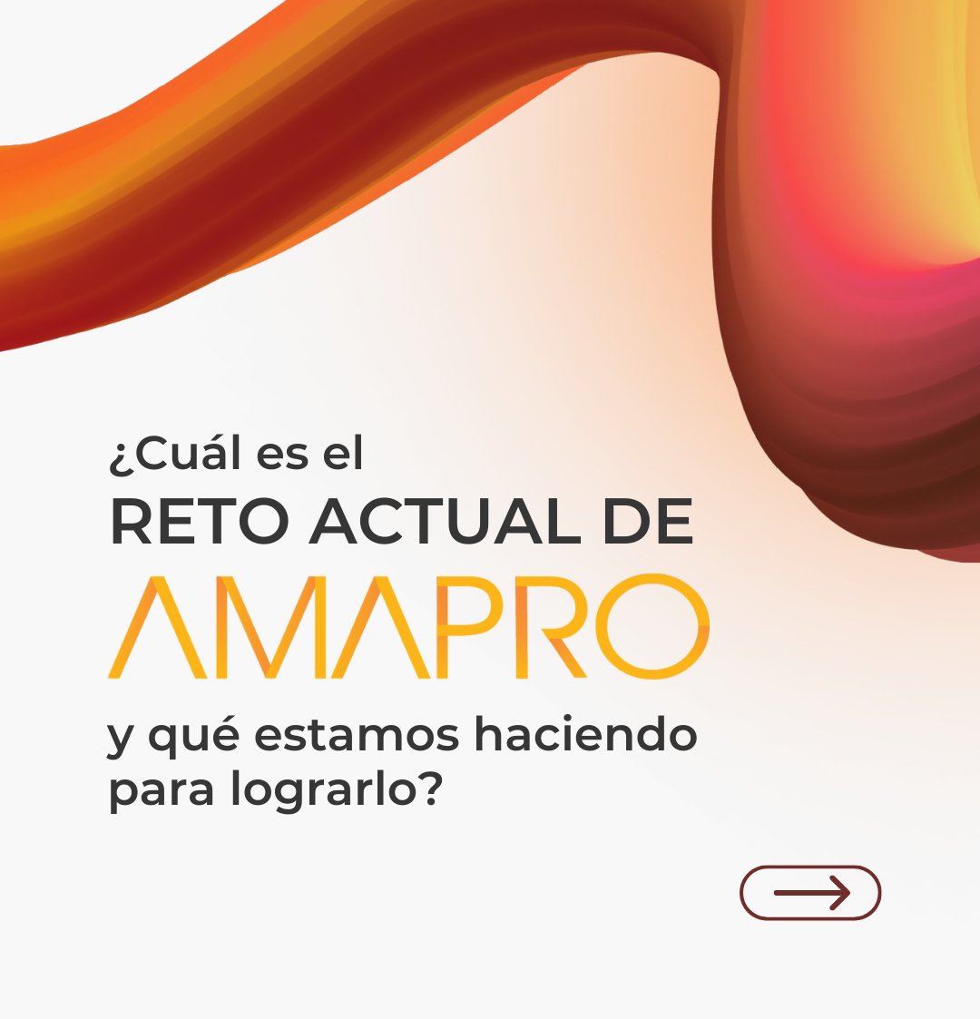 AMAPRO México tweet media