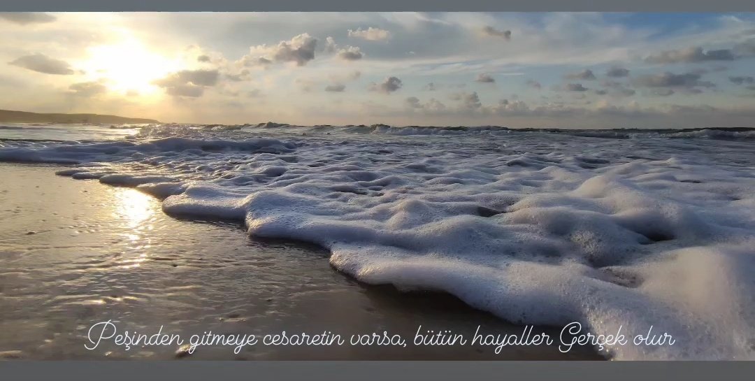 ✨Mehmet (@pandaafreedom) on Twitter photo 