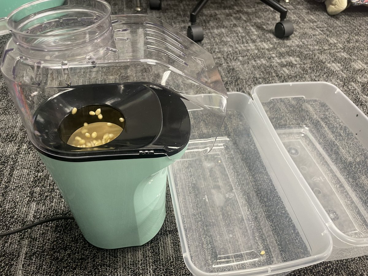 Kelsi Morgan tweet media