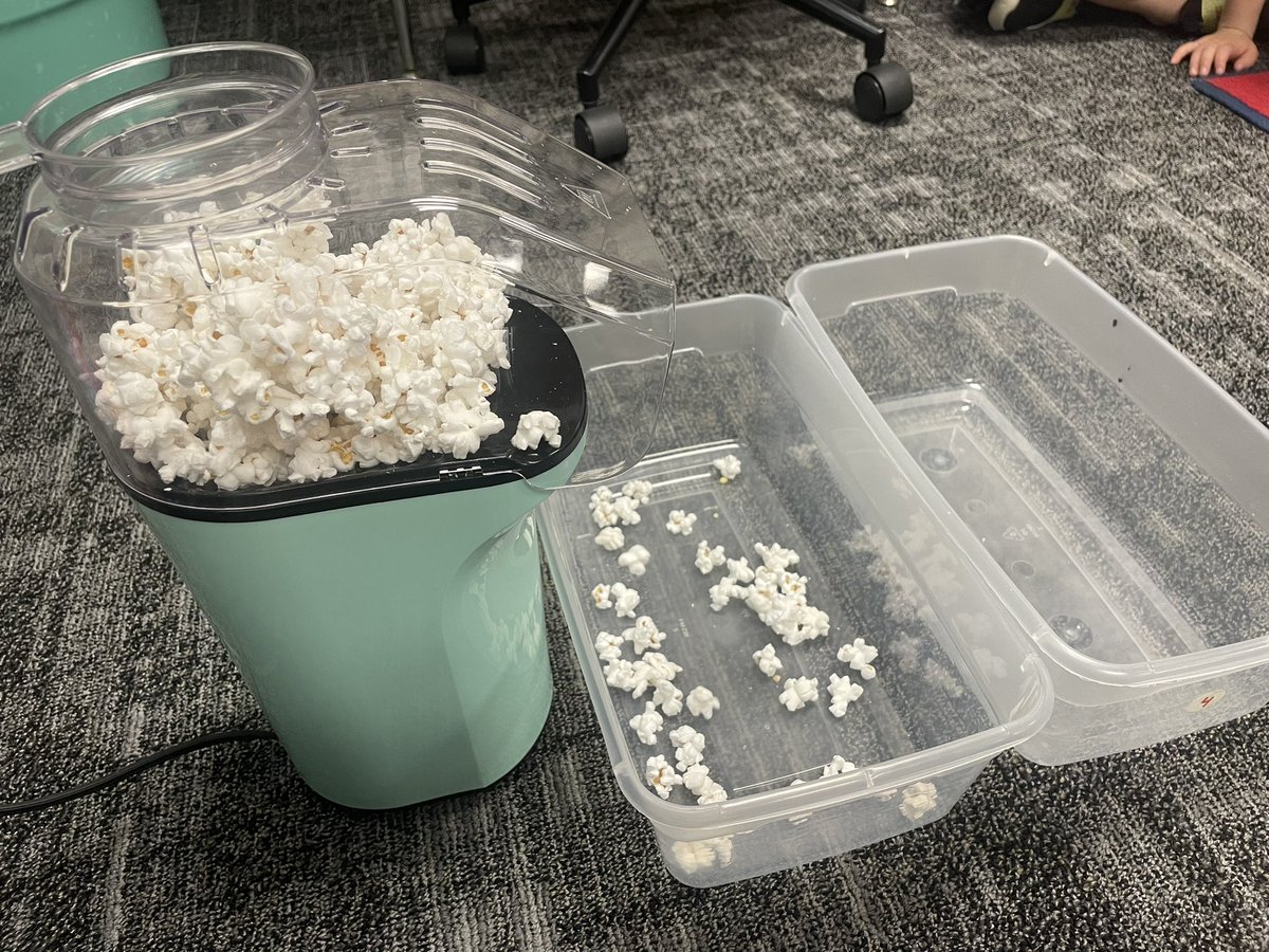 Kelsi Morgan tweet media