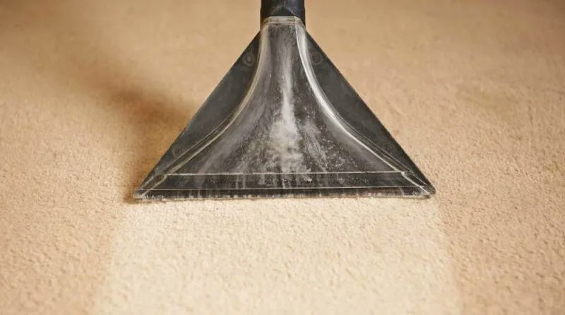 Soggy carpets got you feeling blue? 🌧️ Turn the tide with our quick and easy guide on drying wet carpets! 🌞 Watch your floors go from damp to dry in no time! ⏱️ What's your go-to method for tackling wet carpets? 👇 #WetCarpetRescue #DryFloors homeflooringpros.com/drying-wet-car…