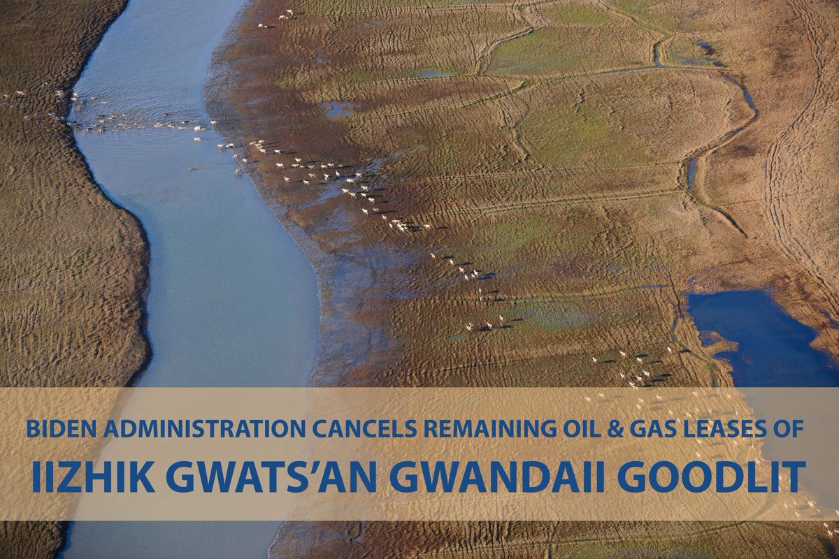 VGG commends the Biden Administration for taking another step towards reversing the unlawful actions of the Trump Administration that rushed ahead in a process which ignored our rights &amp; attempted to silence our voices.
📸 Florian Schulz #ProtectTheArctic 
tinyurl.com/43depm95