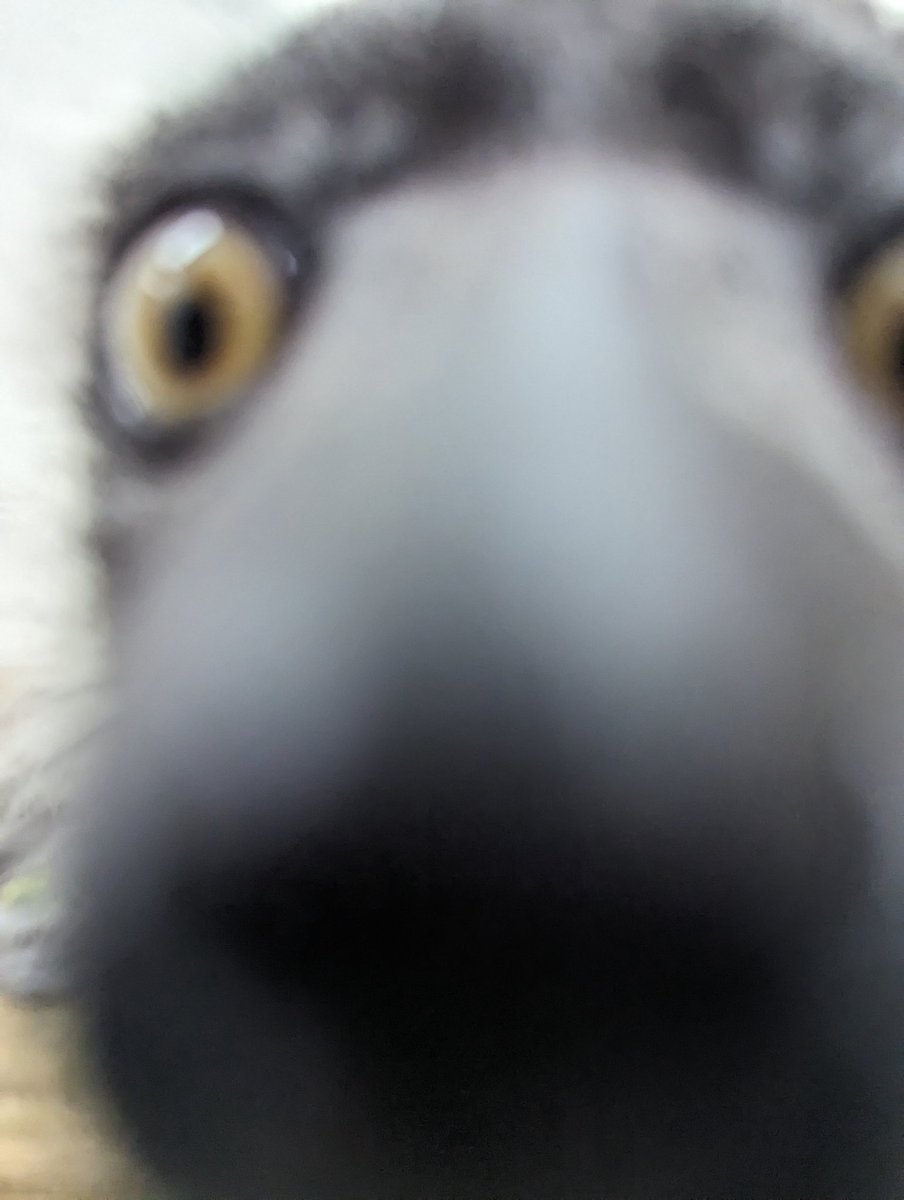 Post a picture from your phone that could be from a horror movie...