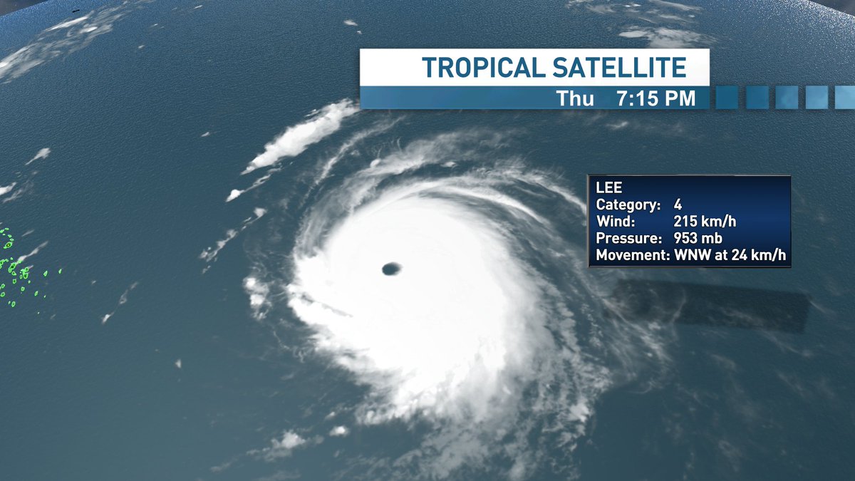 Ryan Snoddon tweet media