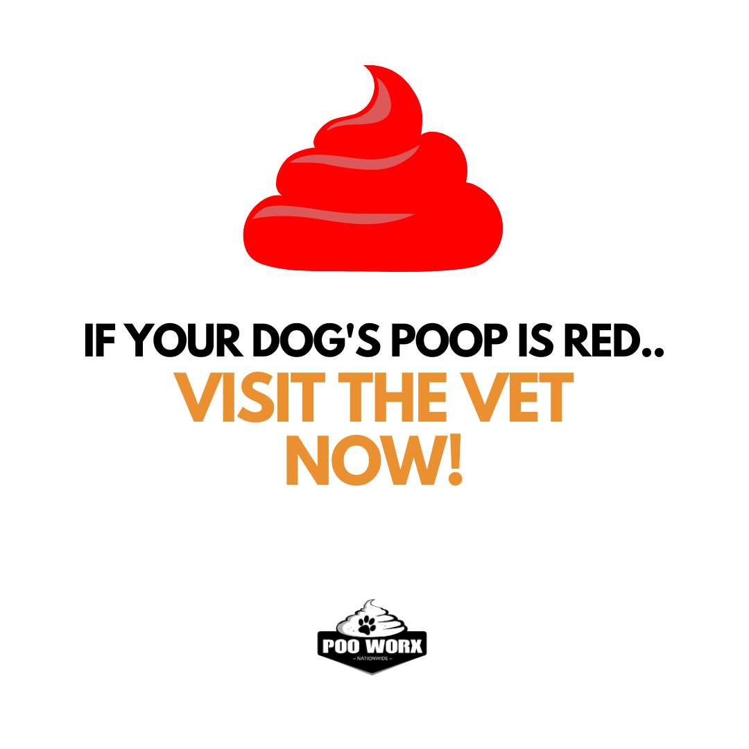 If you happen to spot red in your dog's poop – it's a signal to swing into action! 

#petwasteremoval #petwaste #dogwaste #dogpooppickup #ScoopThePoop #DogsofInstagram #PuppyLove #DogLovers #InstaDogs #DogLife #Doggo #furbaby #okanagan #canadadog #pooworx #reddogpoop