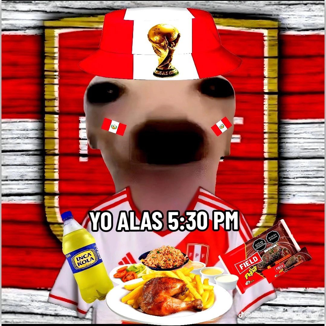 kseokj's tweet image. VAMOS PERÚ CARAJO #TodoAPerú🇵🇪