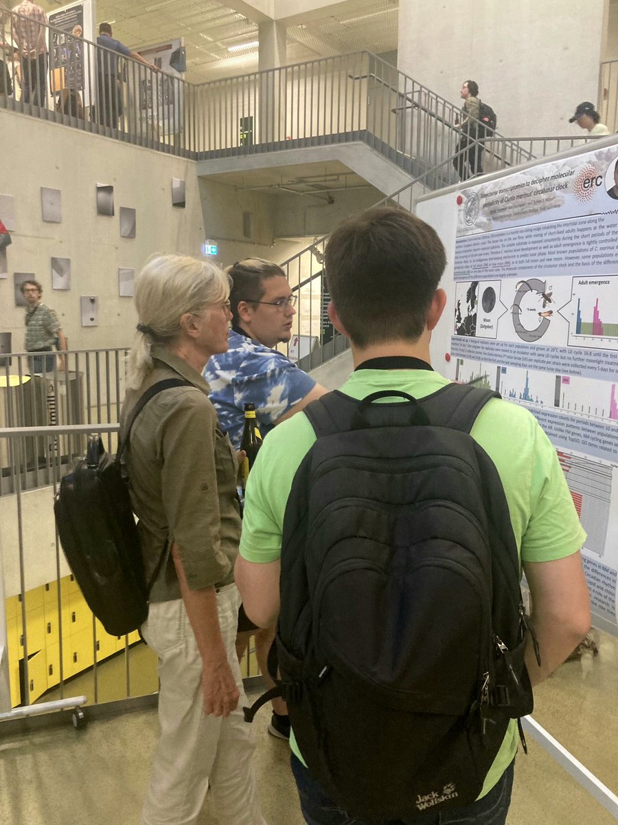 DanVoronov's tweet photo. I had great time presenting our  poster (@jule_neu, @ClocksEvolution) at #dzg23 on transcriptomics of circalunar clocks. Thank you all for great discussions. @BiologyDzg https://t.co/S025Feat09
