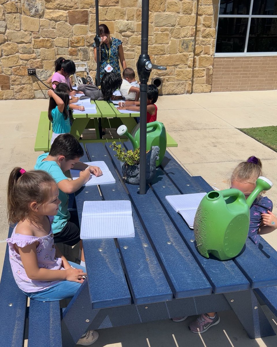 We made some science observations in the garden today!!! #acecubs
