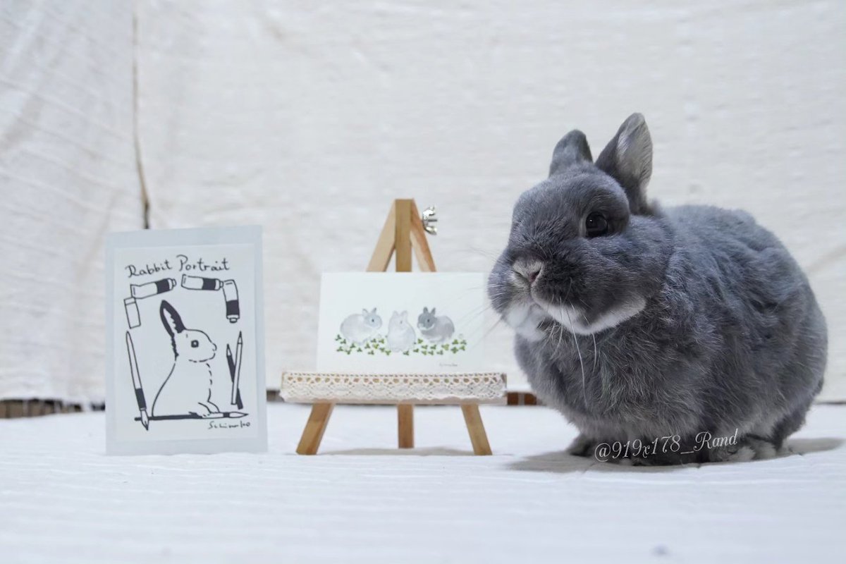 919x178's tweet photo. 🐰ぼくたち描いてもらいました🎨

先月の @rebekka1020 さんで
@schinako さんのポートレートをポチッとしまして、
@utajima さんに撮ってもらったルーランレンを描いていただきました✨

ルーさんのペラペラっぷりがこんなにシンプルなのに表現されてる😂

しなこさん、ありがとうございました✨ https://t.co/O2m6psiG0f