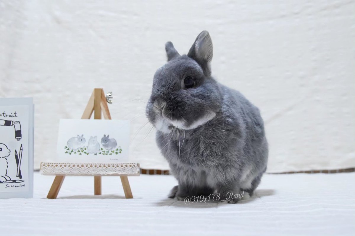 919x178's tweet photo. 🐰ぼくたち描いてもらいました🎨

先月の @rebekka1020 さんで
@schinako さんのポートレートをポチッとしまして、
@utajima さんに撮ってもらったルーランレンを描いていただきました✨

ルーさんのペラペラっぷりがこんなにシンプルなのに表現されてる😂

しなこさん、ありがとうございました✨ https://t.co/O2m6psiG0f
