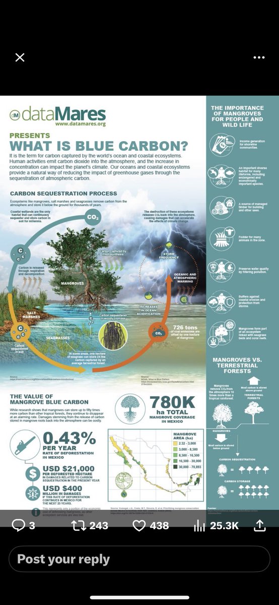 What is blue carbon ?