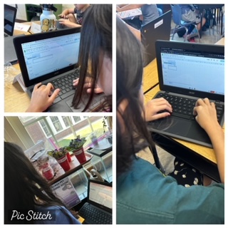 MrsVTechTeach's tweet photo. Third day of school and my fifth graders did so well  creating charts on Google Sheets for data collection. 
 So proud of my kiddos!  #tryingnewthings  @MrsRubyEDU @GaryYTechnology https://t.co/qclgBHF2Oi