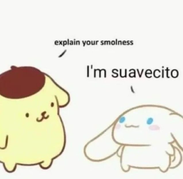 foo_chacha's tweet image. 