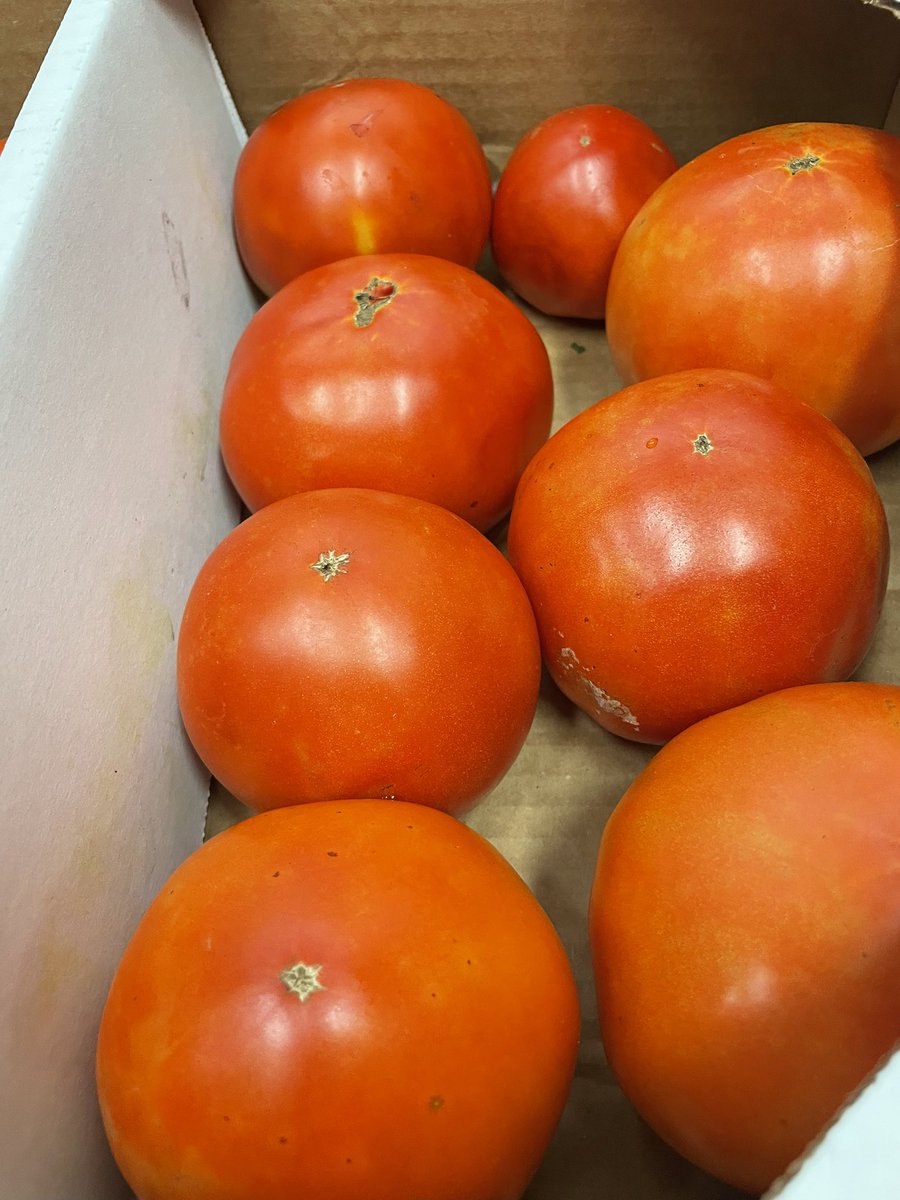 York Schools Nutrition tweet media