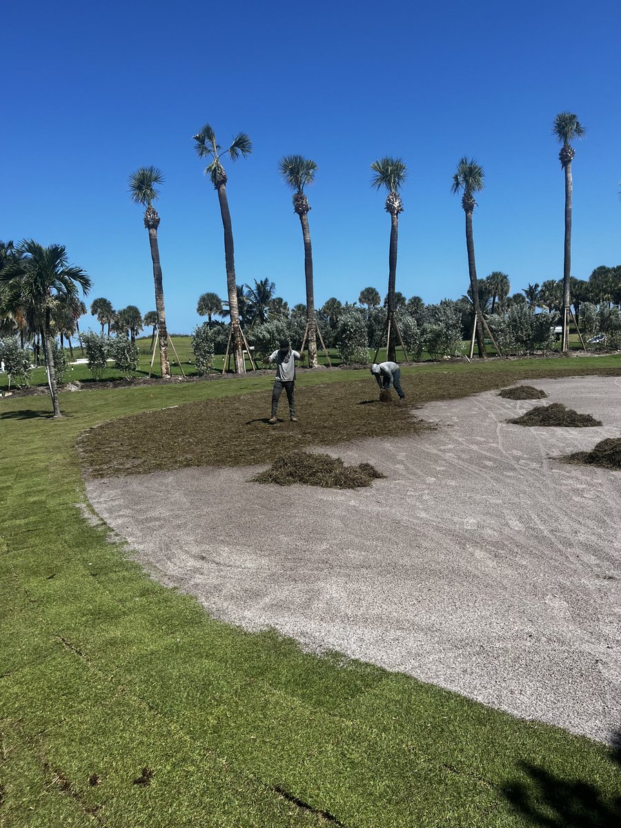 Tim Campbell tweet media