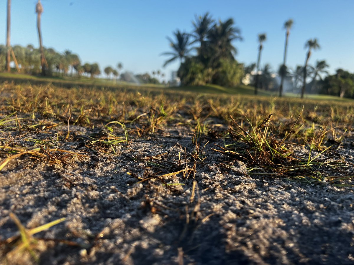 Tim Campbell tweet media