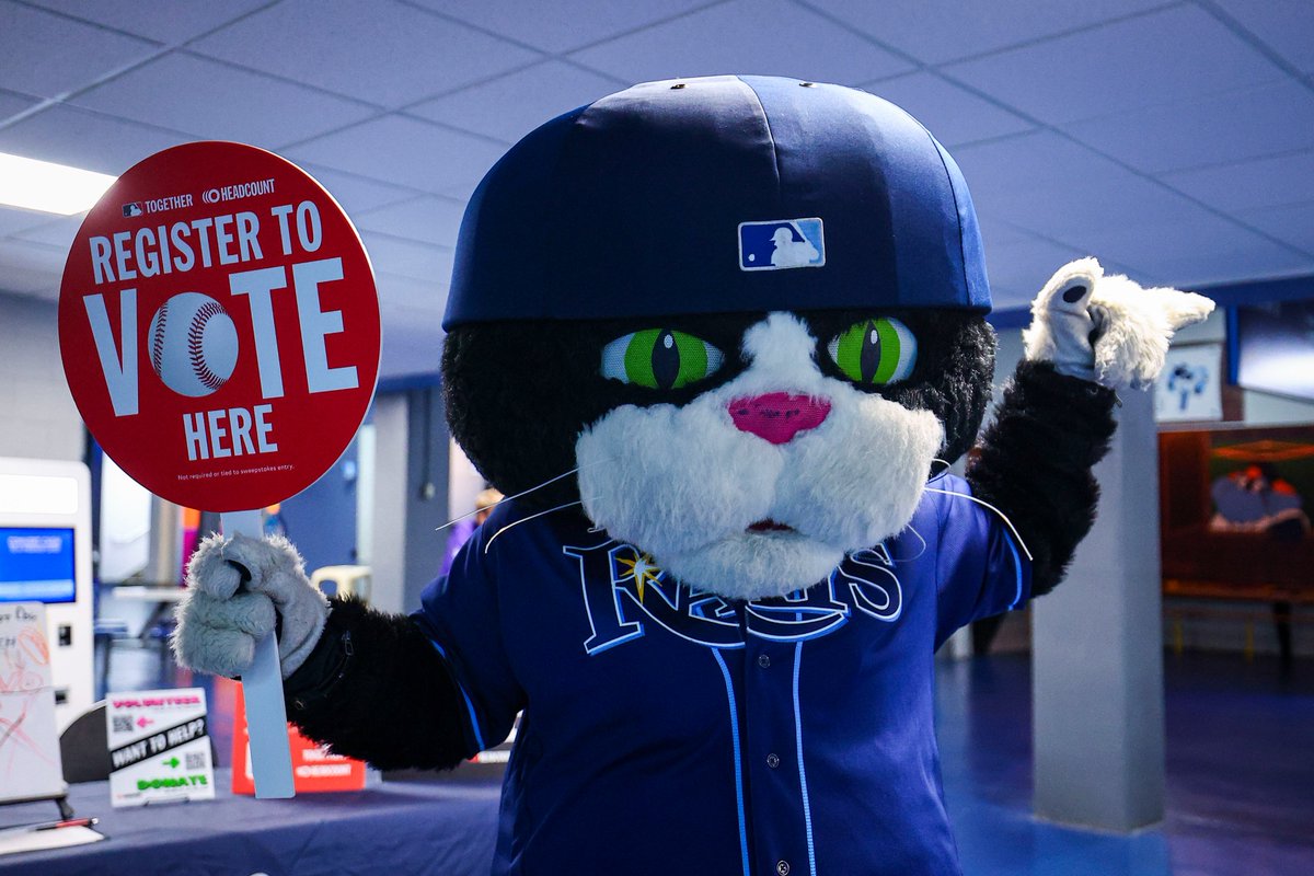 cat tampa bay rays mascot