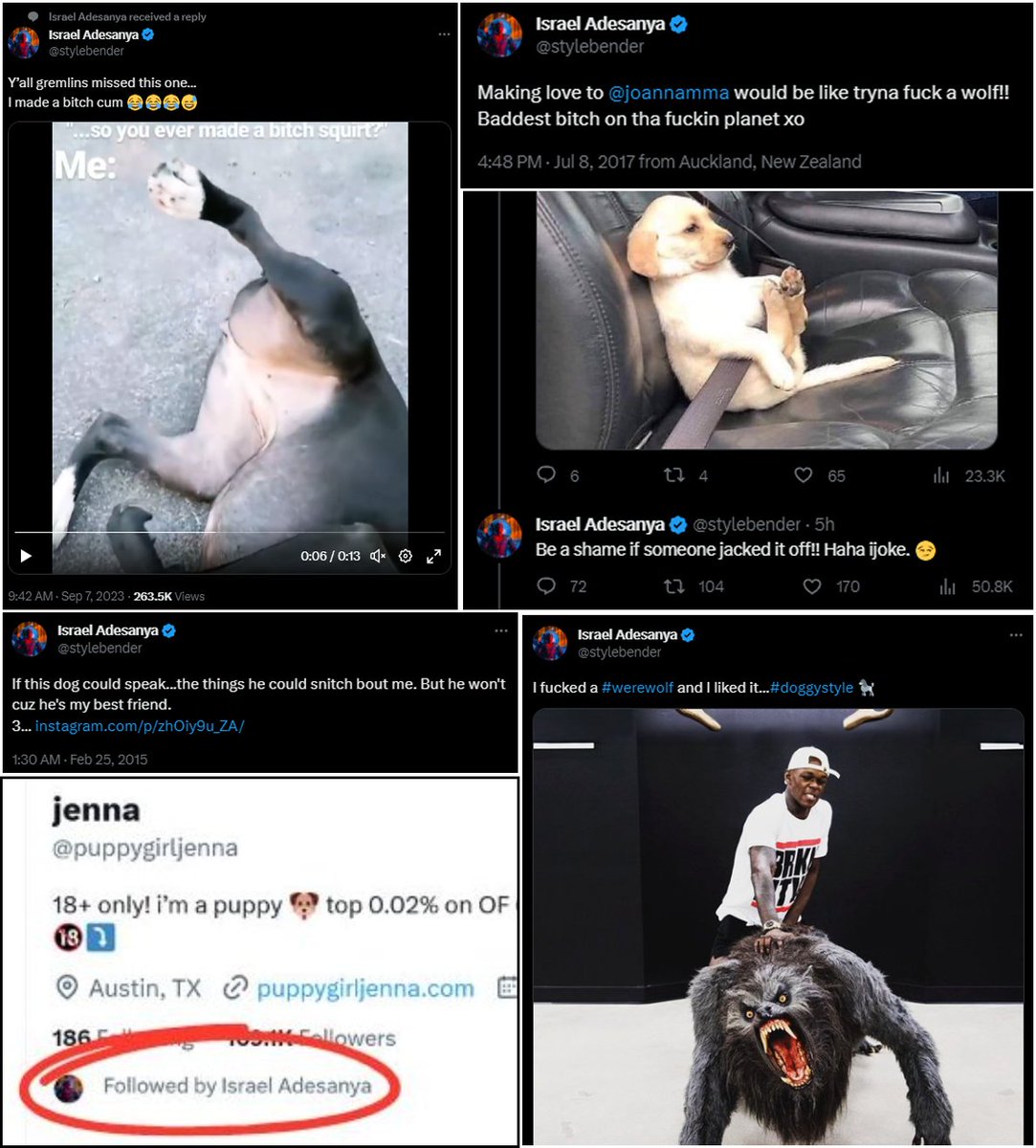 MMAVillain's tweet image. On a real note @stylebender saying all this about dogs is DEEPLY disturbing

#UFC293 #GetSomeHelp