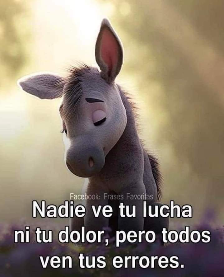 Así es todos te ven en carne pero Dios te ve en espíritu Abba Padre que tengan un buen descanso Todos/<a href="/s/">『S』</a>