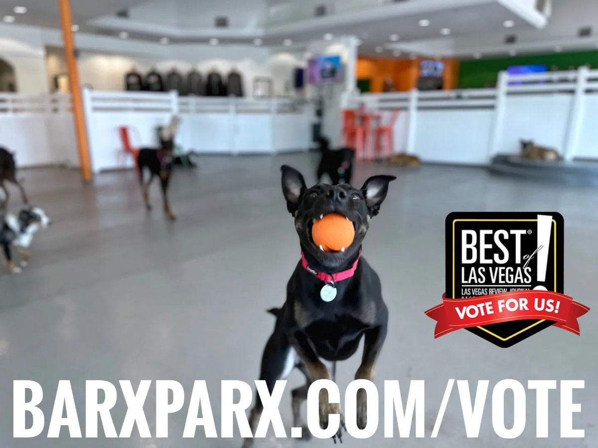 : Think we are SO FETCH?! 🔥 Then show us some love and vote for us!!

barxparx.com/vote
🗳️🗳️🗳️
Cast your votes daily
(and on every device)
for Best of Las Vegas 2023!!
💚🧡🐾

Fur-riends, we are humbled... #dogs #dogsoftwitter #dogpark #barxparx instagram.com/p/Cw6IPavvBfT/