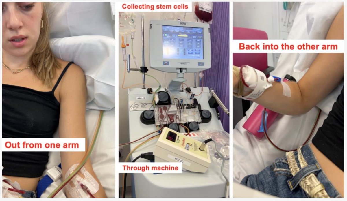 World Leukaemia day 040923

Please consider to sign up as a stem cell cell donor and share with young people from 17 onwards, especially people from minority backgrounds.
Stem cell donation is a huge, pain-free gift for a leukaemia sufferer and it can save their life! #dkms_uk