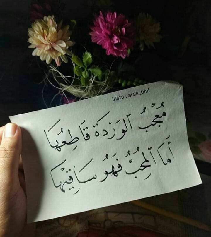 Zivarapm's tweet photo. yang sekedar mengangumi bunga mawar ia akan mencabutnya.
Namun yang mencintainya ia akan menyiraminya. https://t.co/VKdwQuoSsV