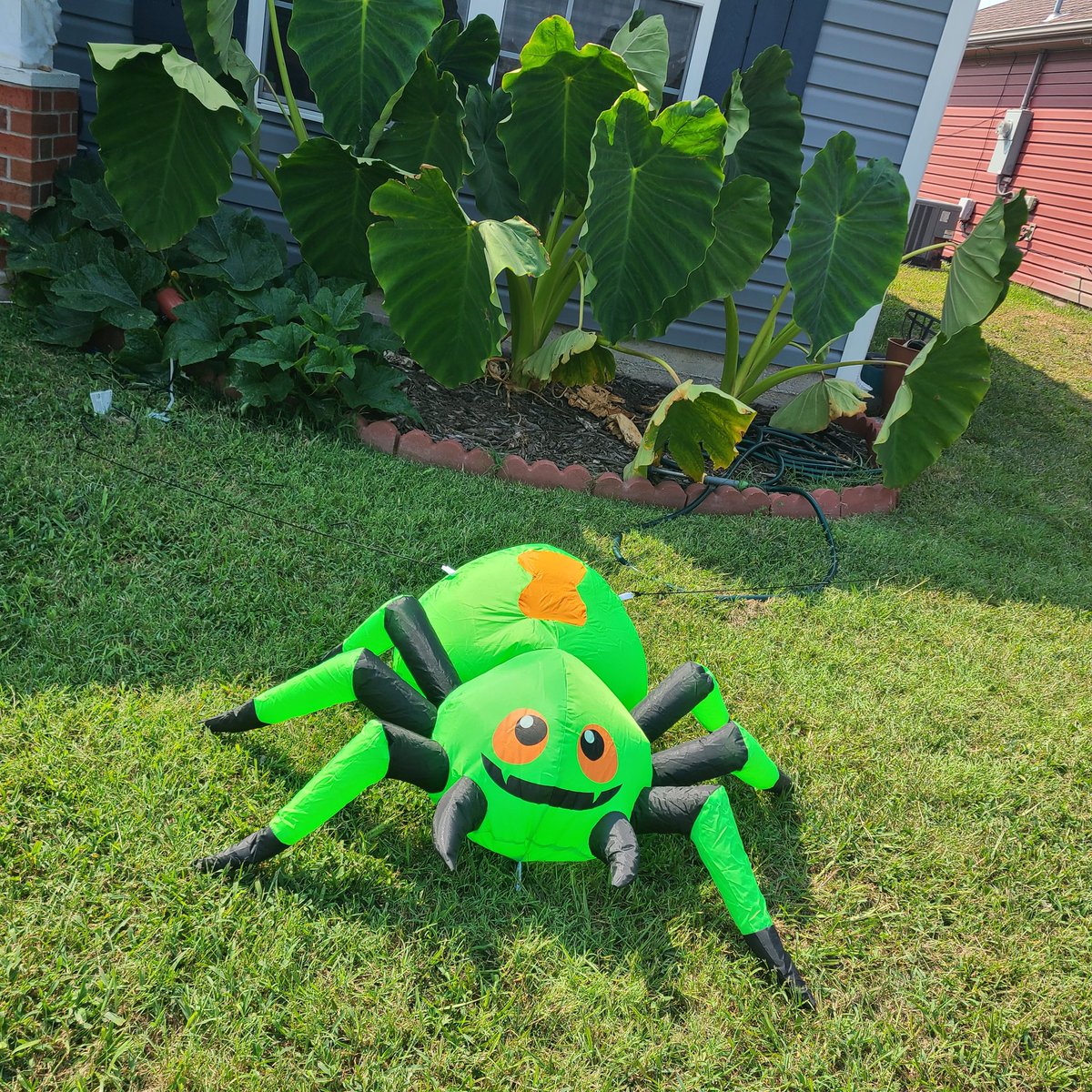 Daphadilll's tweet photo. Just some of my Halloween decor 😍 https://t.co/G1aEZYKWhD
