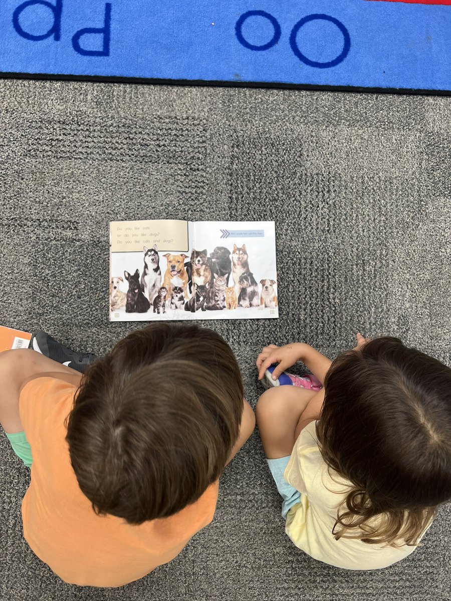 Katie Carroll tweet media