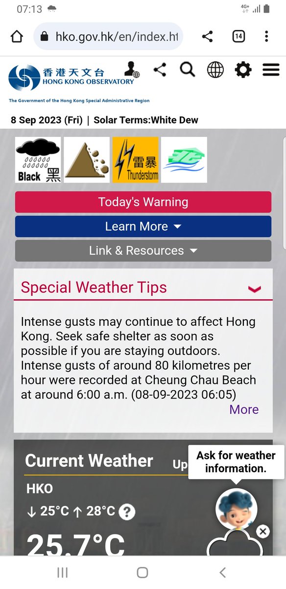 Christile Drulhe tweet media