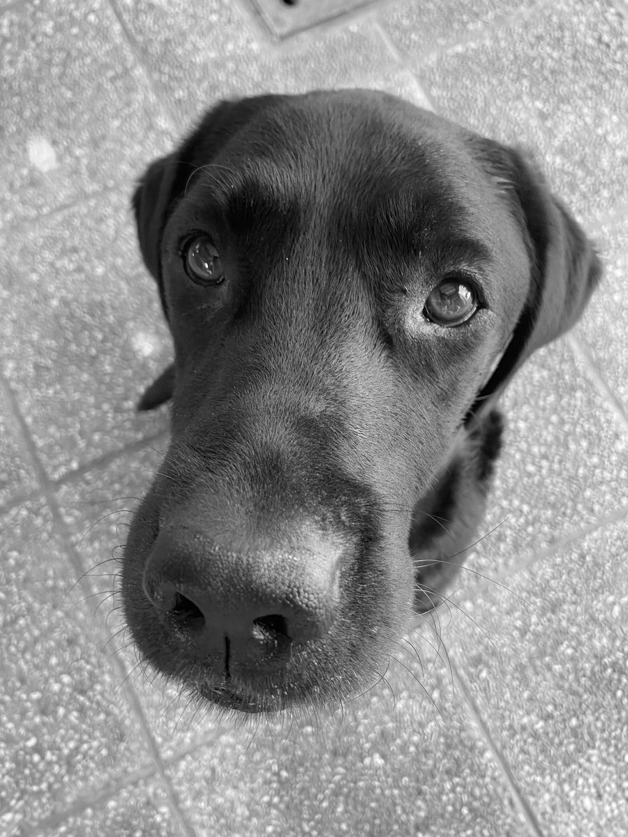 con te è tutto più bello ❤️
