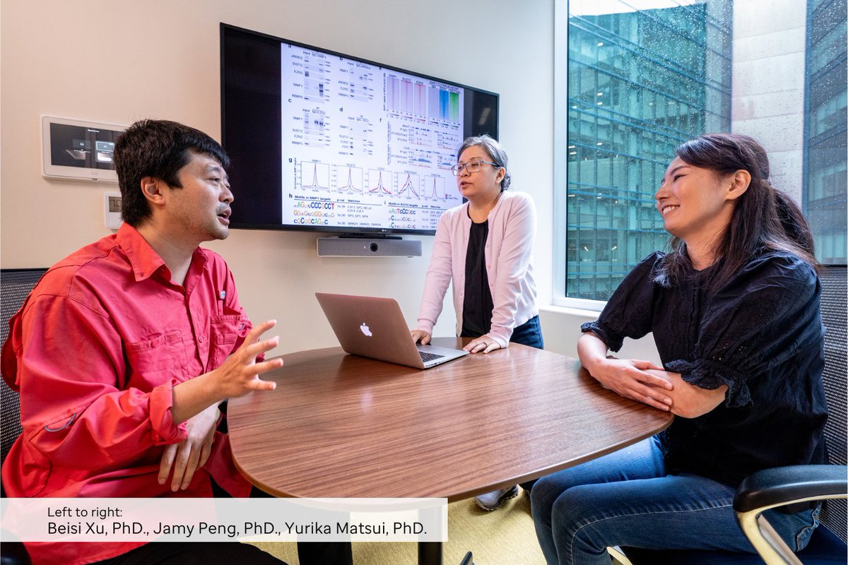 Researchers at St. Jude are working to understand the role neural progenitor cell death and survival plays during brain development. They identified a key relationship between proteins involved in cell development and growth, which defines NPC fate. bit.ly/3EBhtbD