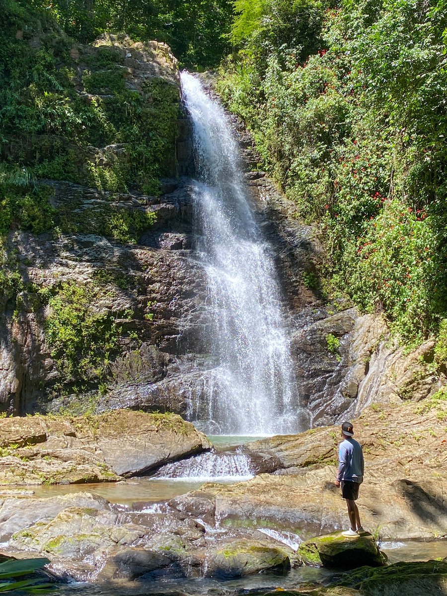 Rod_Alex_0607's tweet photo. Recargando el alma 🌳🌿🍃 https://t.co/PvAZ7IvToE