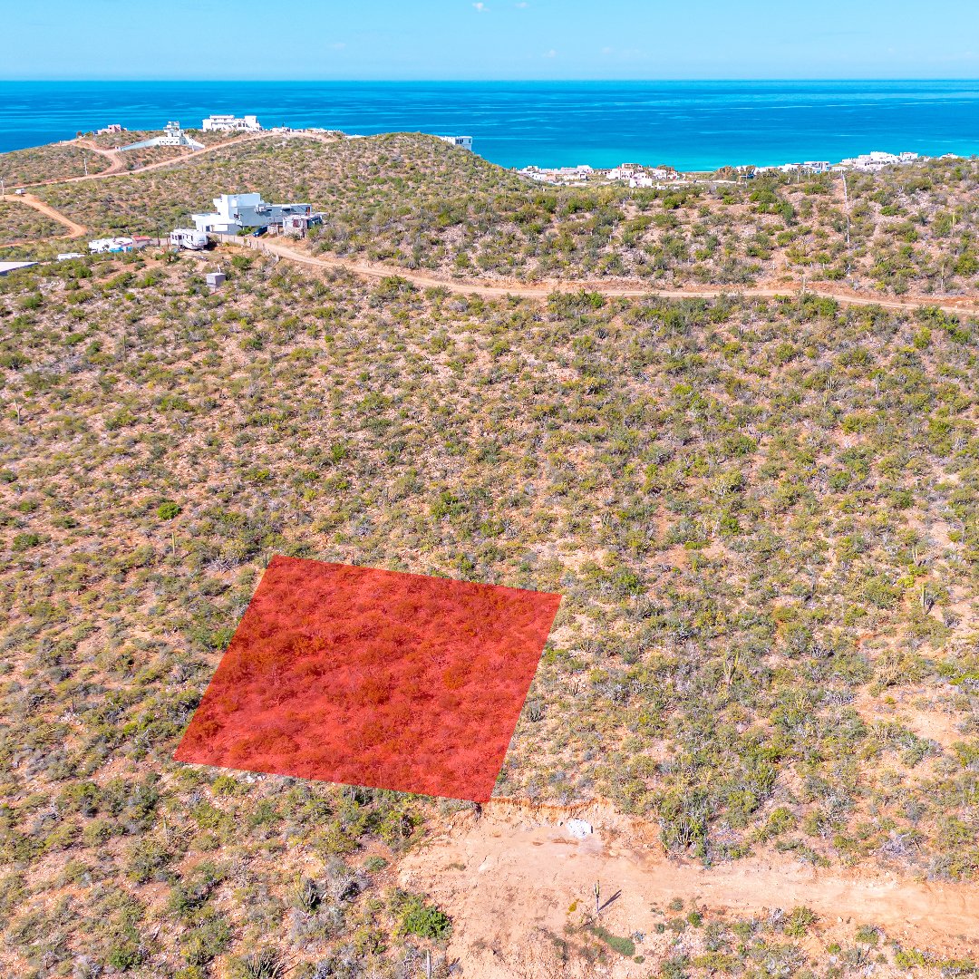 TheAgencyBaja's tweet photo. DESERT HILL LOT 1021 – CERRITOS
Offered at $99,000 USD | $1,933,855 MXN
19,697.96 TOTAL SF | MLS: 22-3687

Listed by Adali Parks

Overlooking Cerritos Bay, this lot offers 1830 meters of desert natural landscape with incredible ocean and desert views. The potential that this lot has is a two-story house with an infinity pool looking at the bay.

Learn more about this property: https://t.co/Jch4R5D5jo

#DesertHill #TheAgency #TheAgencyre #TheAgencyLosCabos