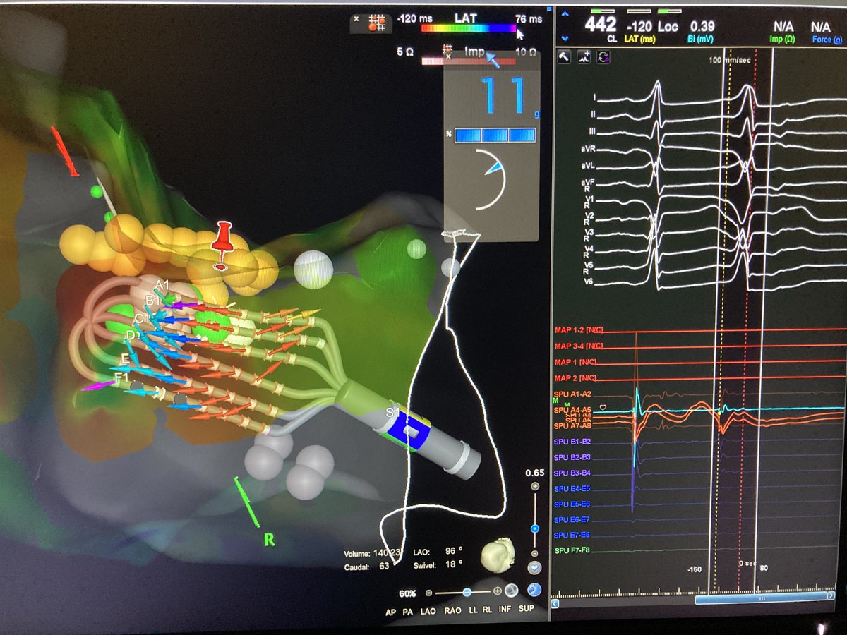 Colin Movsowitz tweet media