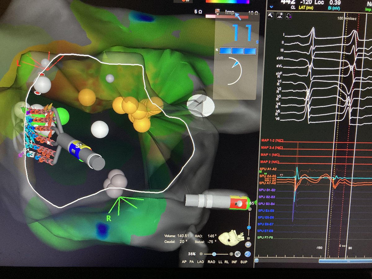 Colin Movsowitz tweet media