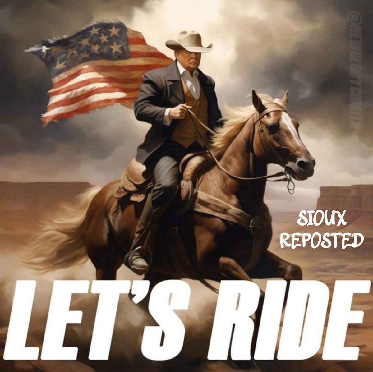 ꧁𓊈𒆜SIOUX aka Flo❤️🇺🇸🤠𒆜𓊉꧂ tweet media