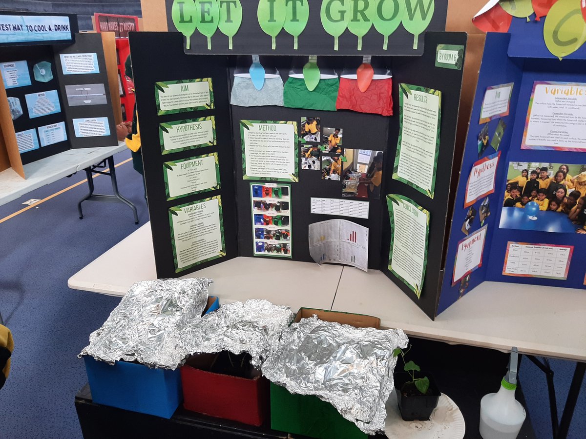 PuhinuiS's tweet photo. As Science Week at @PuhinuiS draws to an end, it's so wonderful to look over the amazing classroom science investigations that our tamariki carried out this term

What a wonderful collection of learnings at our science fair

#PuhinuiProfessors https://t.co/7kWsnMyAUQ
