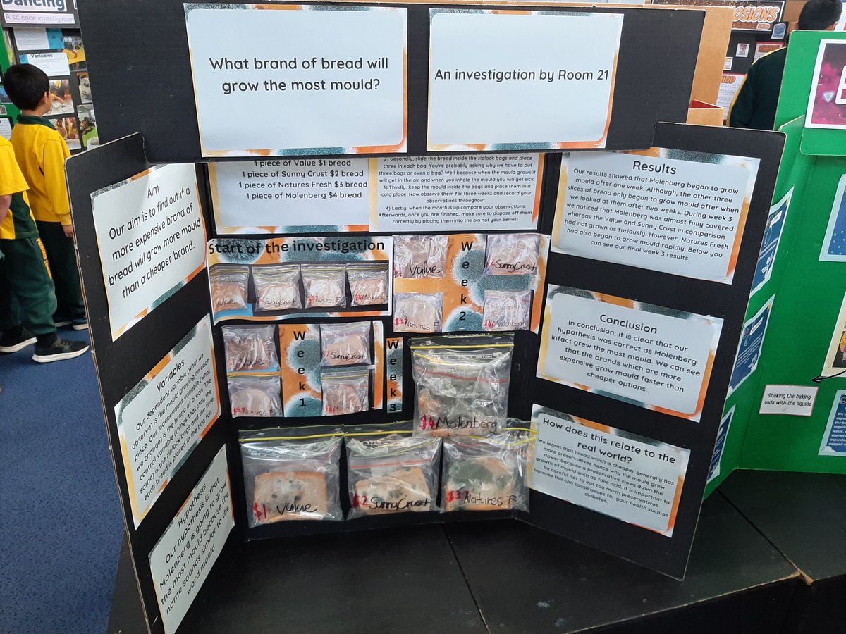 PuhinuiS's tweet photo. As Science Week at @PuhinuiS draws to an end, it's so wonderful to look over the amazing classroom science investigations that our tamariki carried out this term

What a wonderful collection of learnings at our science fair

#PuhinuiProfessors https://t.co/7kWsnMyAUQ