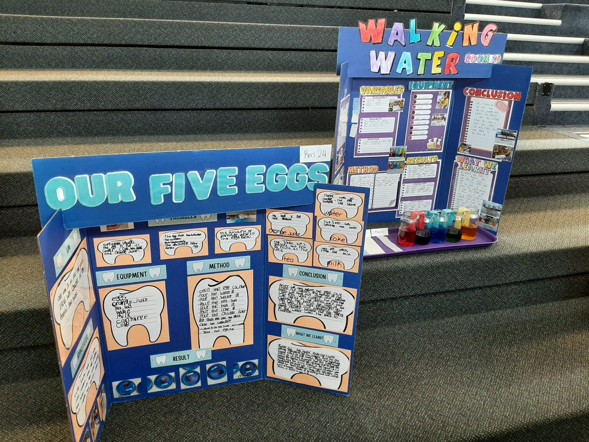 PuhinuiS's tweet photo. As Science Week at @PuhinuiS draws to an end, it's so wonderful to look over the amazing classroom science investigations that our tamariki carried out this term

What a wonderful collection of learnings at our science fair

#PuhinuiProfessors https://t.co/7kWsnMyAUQ