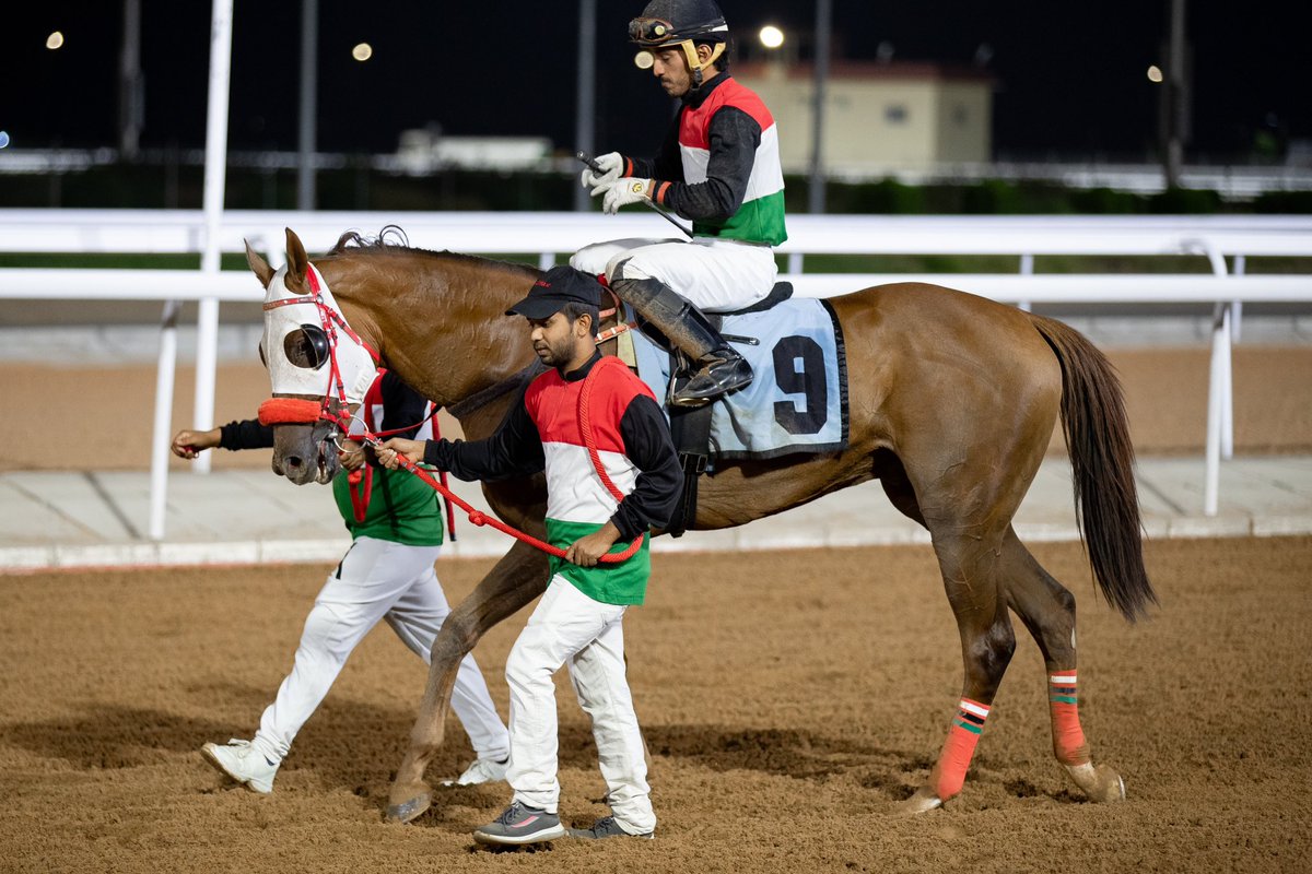 Alshareef Stable tweet media