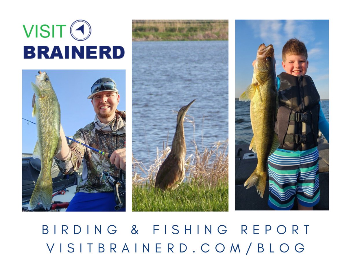 Visit Brainerd tweet media