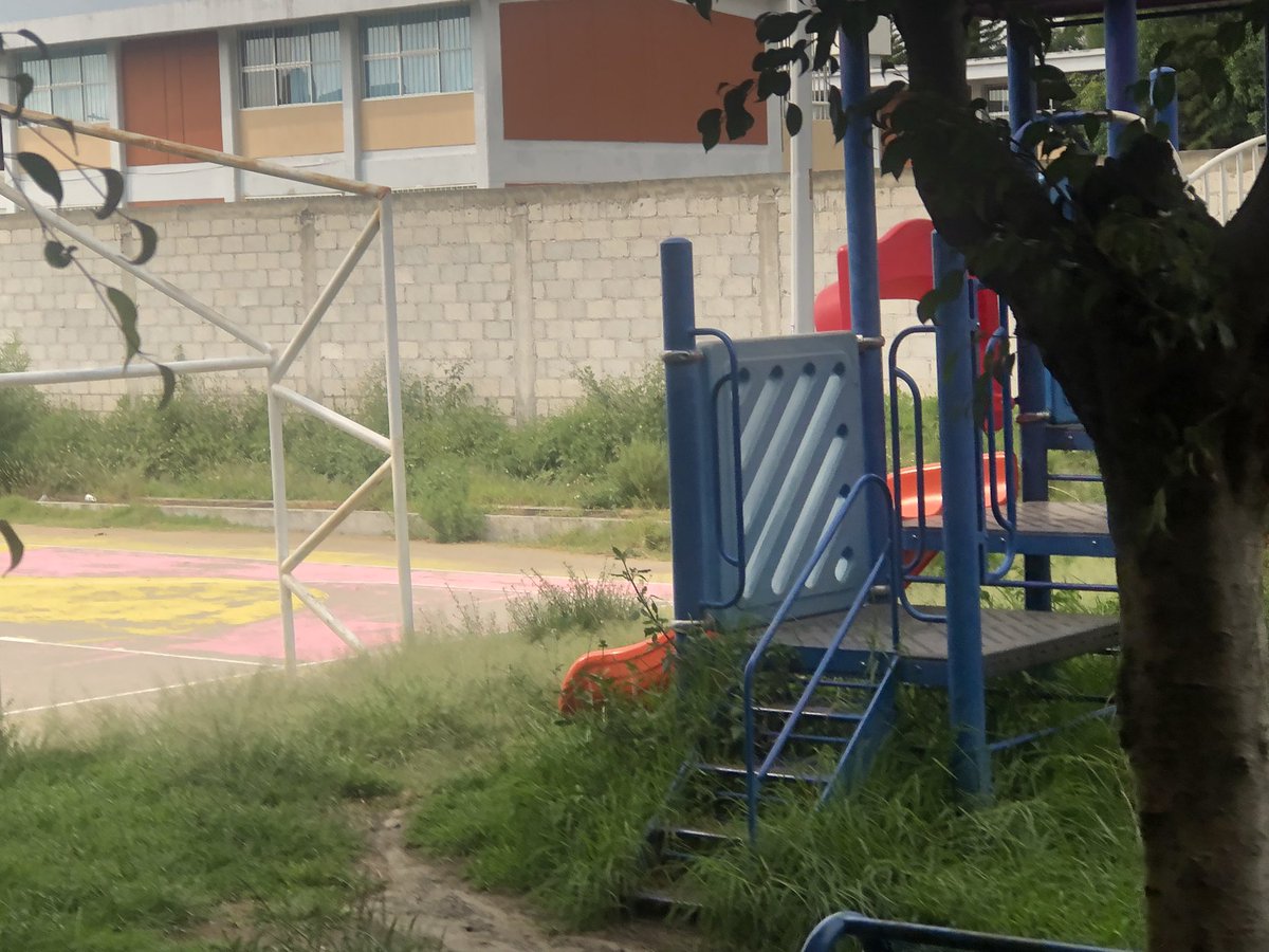 DomRichm's tweet photo. Buenas tardes! 🛑 Porfa apoyo con poda de parque Villas La Vista Mateo sección San José Maravillas entre Cda orquídeas y Tulipanes @xochzar @Servicios_Pub @eduardorivera01 @AmbientePuebla @PueblaAyto el pasto está muy alto y hay basura si son tan amables 🙏 https://t.co/ceLqSpG2Gd