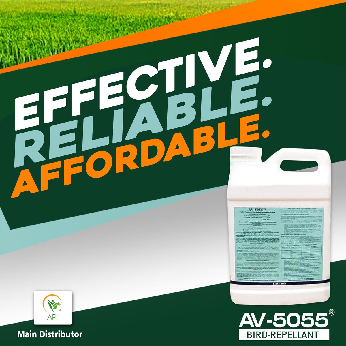 Join the @AV5055Ghana ERA. 
E- Effective R- Reliable A- affordable

#onsalenow  #birdrepellant #ghanarice #agric #buynow #ricefarm #ricefarming #agroinput  #farming #product #pulseghana #agrochemical #foryourpage #agroinput #agriculture #explore #agric #av5055 #farming #africa