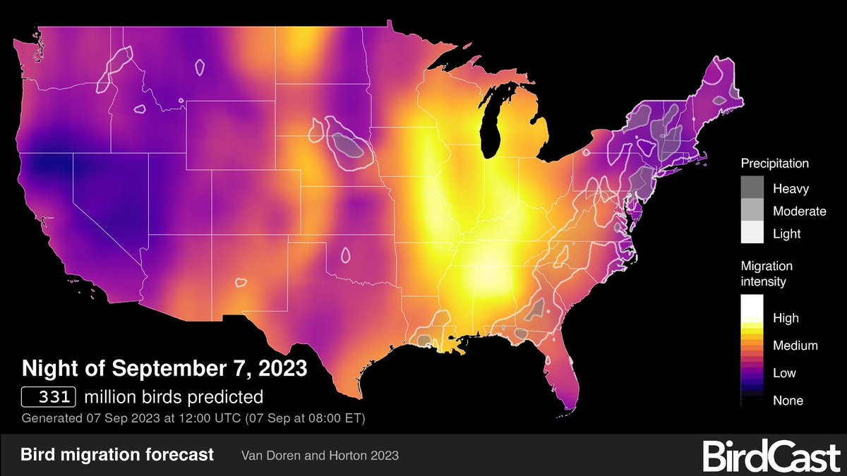 USFWS Migratory Birds tweet media