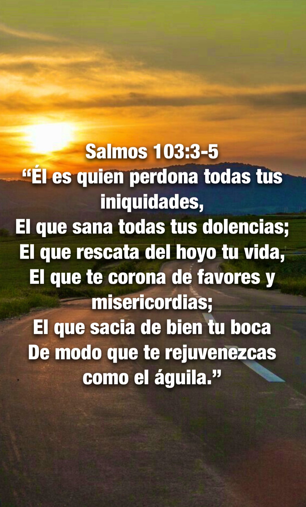 Carmen Lopez on X: Salmos 103:1-2 “Bendice, alma mía, a Jehová, Y