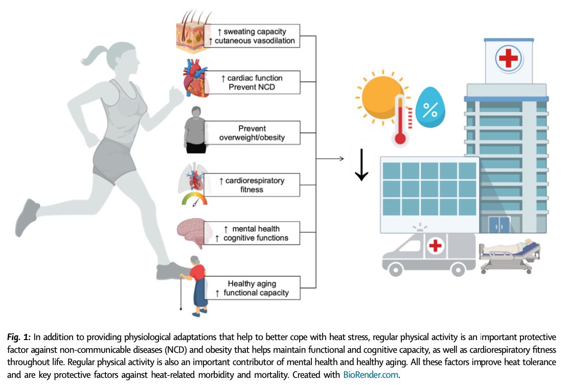 Very excited to see our opinion piece on Regular physical activity across the lifespan to build resilience against rising global temperatures in @eBioMedicine. Part of @TheLancet Discovery Science. @UC_RISE @EnvPhysiolLab @IntegrPhysLab sciencedirect.com/science/articl…