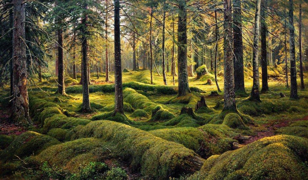 artistshishkin's tweet photo. Forest cemetery https://t.co/oBKtxxDCC8 https://t.co/UBU98876lv
