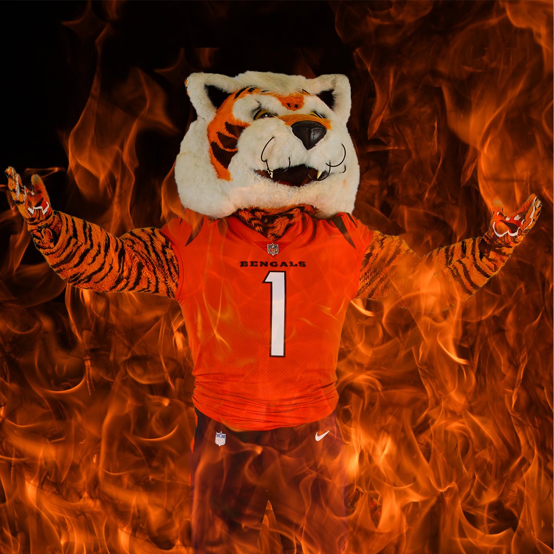 Cincinnati Bengals tweet media