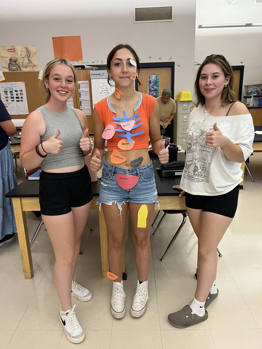 NHSBioTeach's tweet photo. Body parts- where do they go?  Anatomy class having some fun with mystery organs! https://t.co/Mlb9HTzlUM