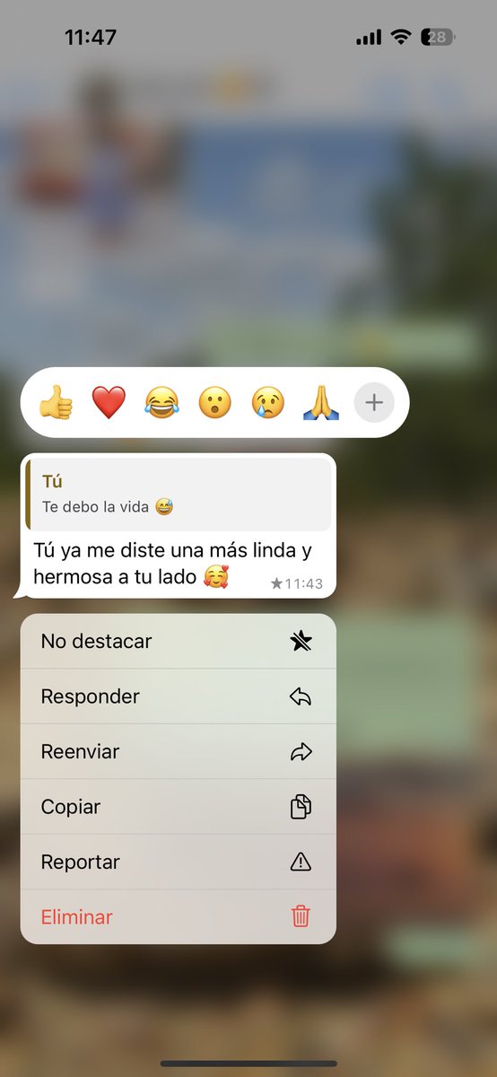 ncag28's tweet photo. Él sabe que decir en los momentos más inesperados 🥰 https://t.co/C7TnPgreZK